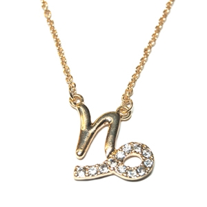 CAPROCORN 18" Zodiac Necklace offered in Goldtone or Silvertone with CZ Accents and lobster claw clasp